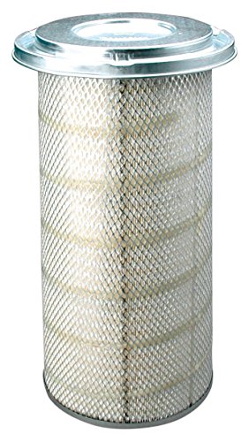 Donaldson Air Filter -P153551